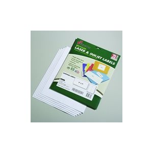 LABELS, 2 X 4 RECYCLED WHITE 250 / PK