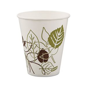 CUPS, PAPER, DIXIE Pathways, Polycoated, 12oz, 100 / Pack
