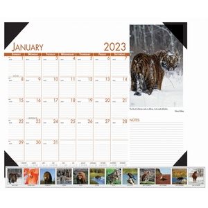 Recycled Beautiful Wildlife Photographic Monthly Desk Pad Calendar, 22x17, 2023