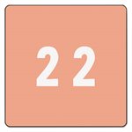 Single Digit End Tab Labels, Number 2, Pink, 250 / Roll