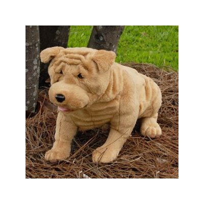 SHAR PEI, SITTING