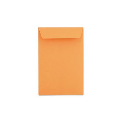 Catalog Envelope, #55, 6 x 9, Brown Kraft, 500 / Box