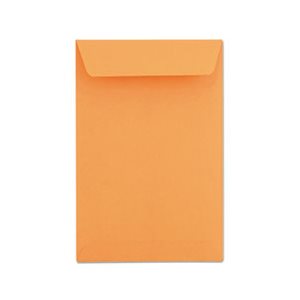 Catalog Envelope, #55, 6 x 9, Brown Kraft, 500 / Box